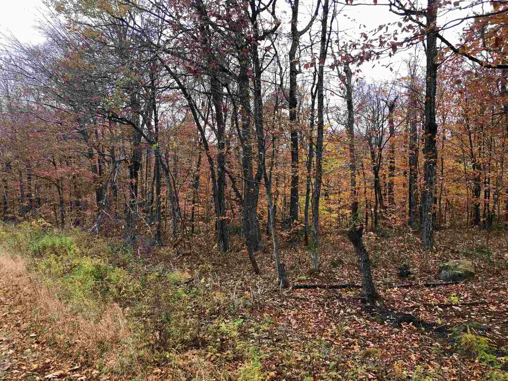 Lot #312 Lebensanschauung Circle Stamford VT 05352