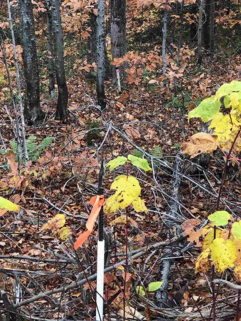 Lot #312 Lebensanschauung Circle Stamford VT 05352