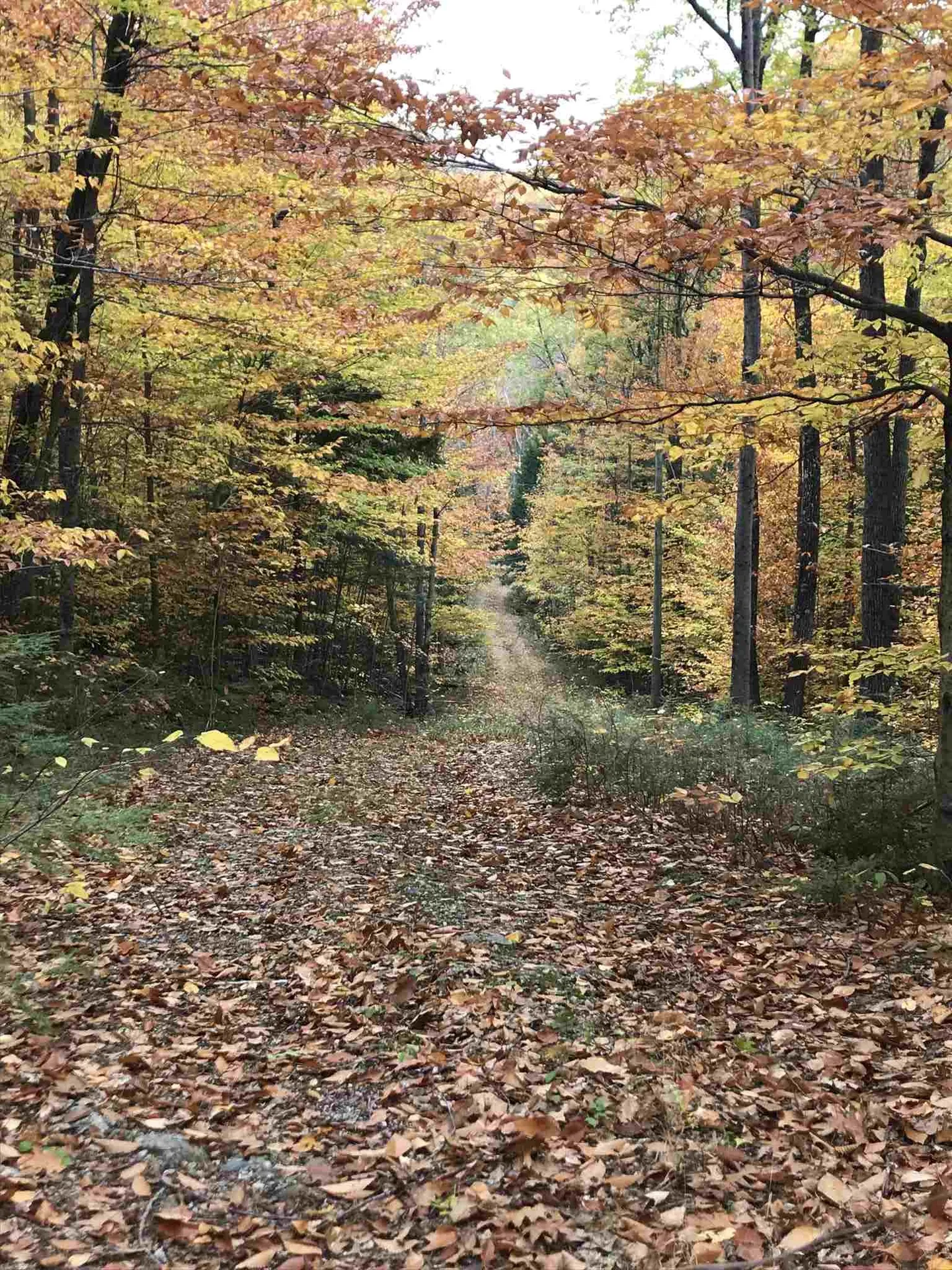 211 Lovell Mountain Road Washington NH 03280