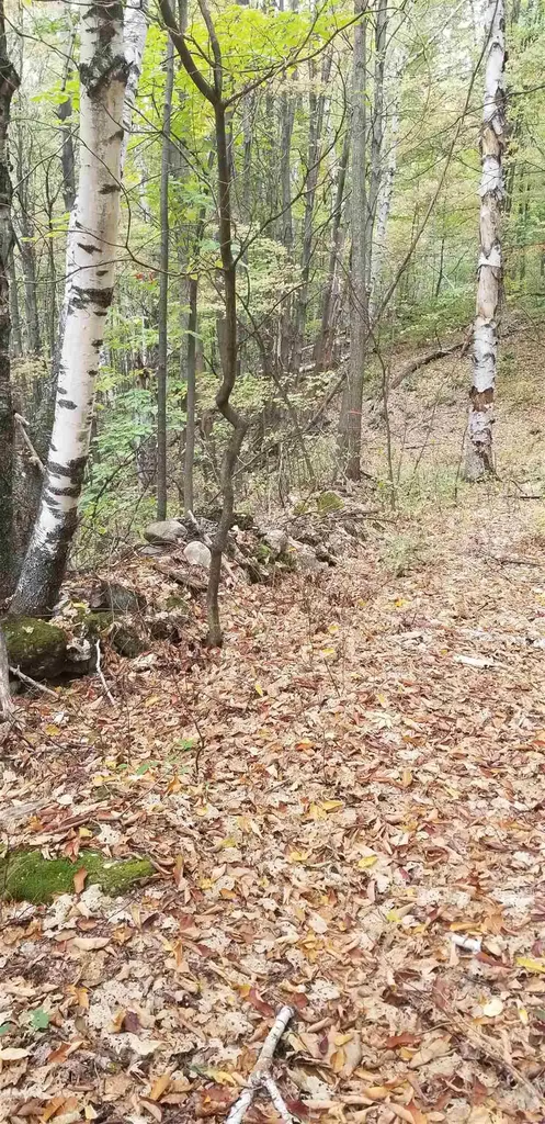 0 Highview Ridge Road Danby VT 05739