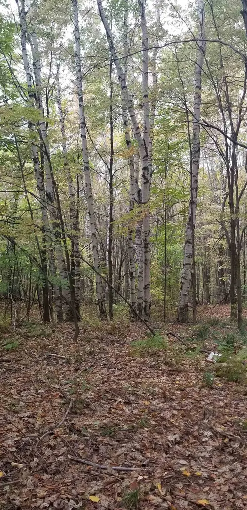 0 Highview Ridge Road Danby VT 05739