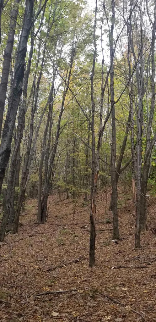 0 Highview Ridge Road Danby VT 05739