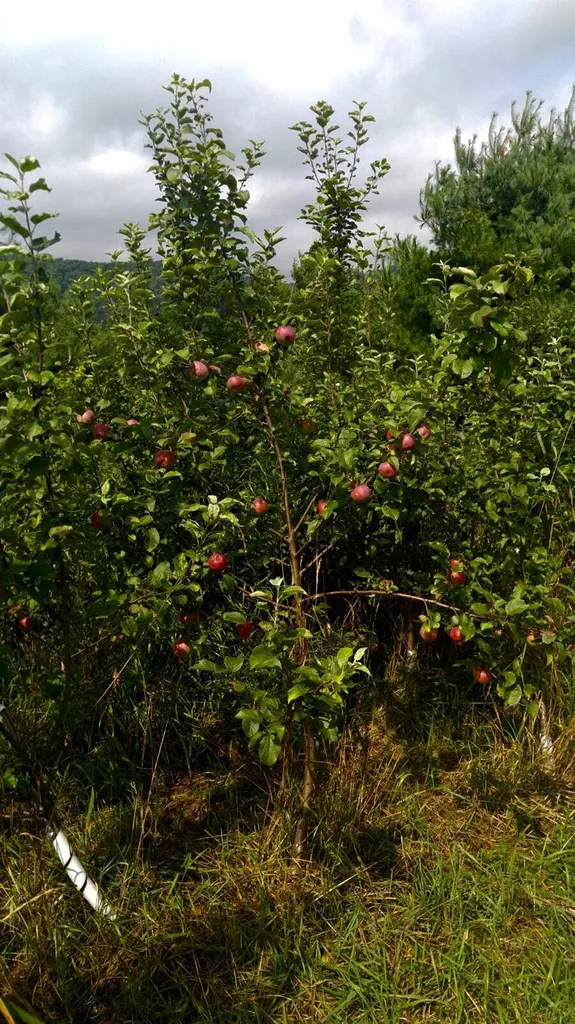 0 River Road St. Johnsbury VT 05819