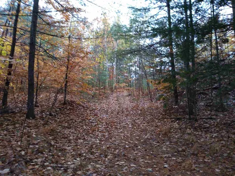 143 Holly Ridge Lane Conway NH 03818