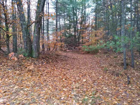 143 Holly Ridge Lane Conway NH 03818