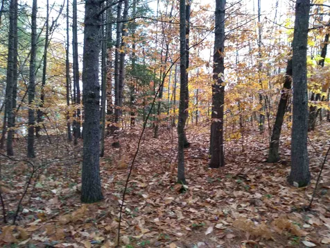 143 Holly Ridge Lane Conway NH 03818