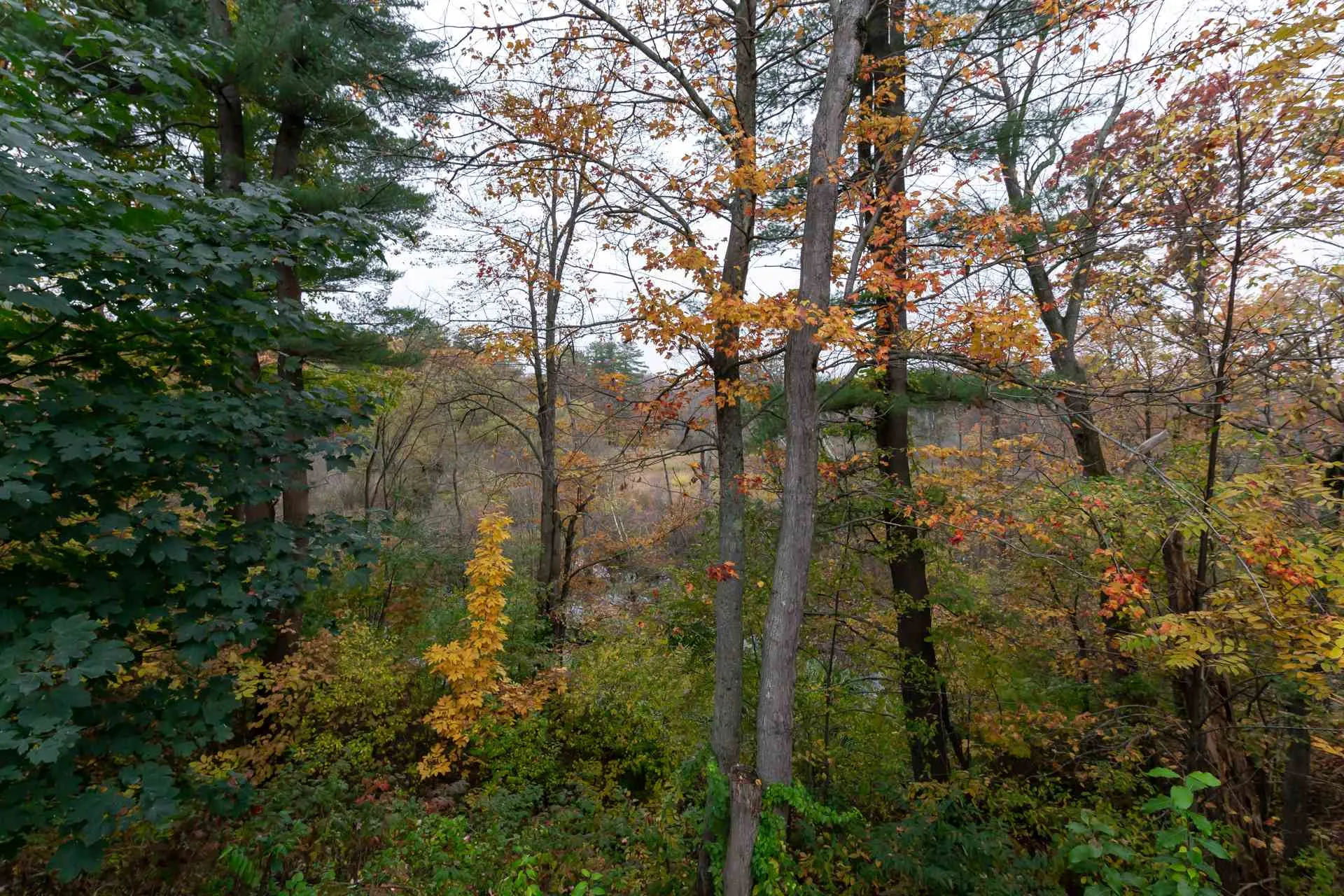 24 Cedarbrook Drive Dover NH 03820