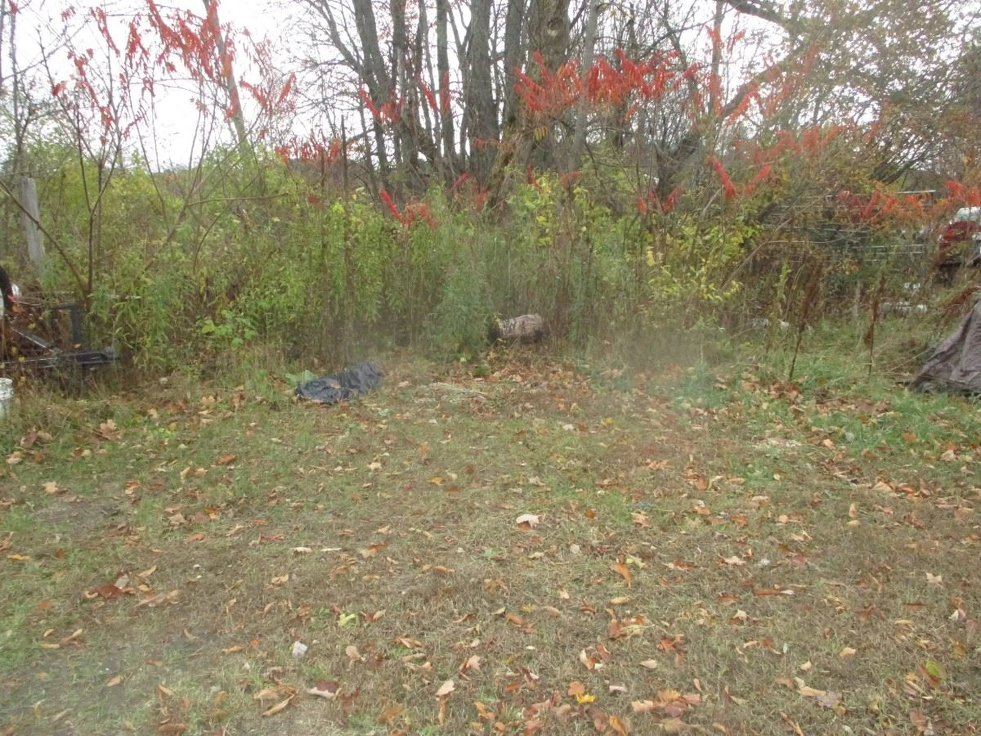 000 West River Road Johnson VT 05656