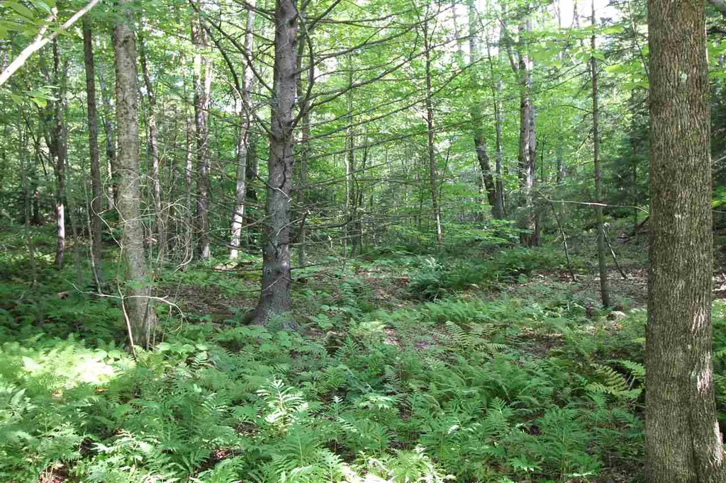 Lot 28 Fern Lane Killington VT 05751