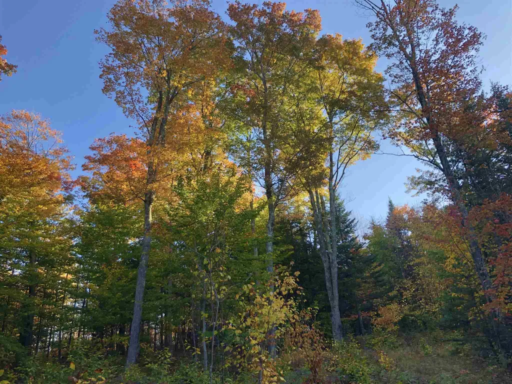 000 Old Man Mountain Road St. Johnsbury VT 05819