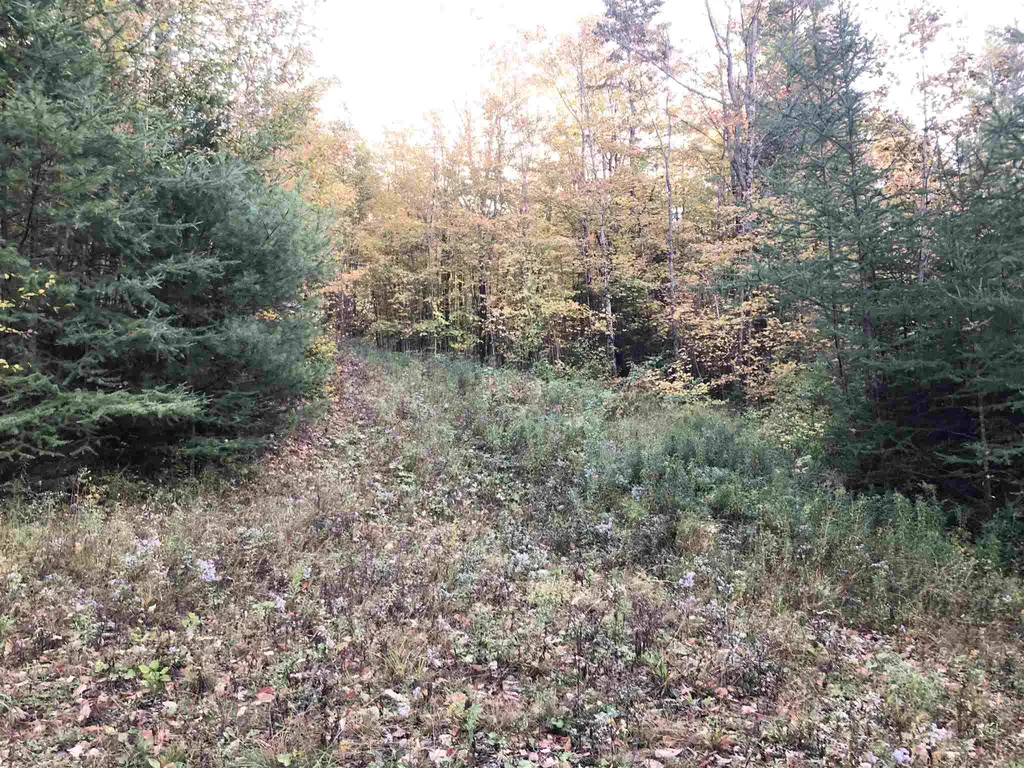 000 Old Man Mountain Road St. Johnsbury VT 05819
