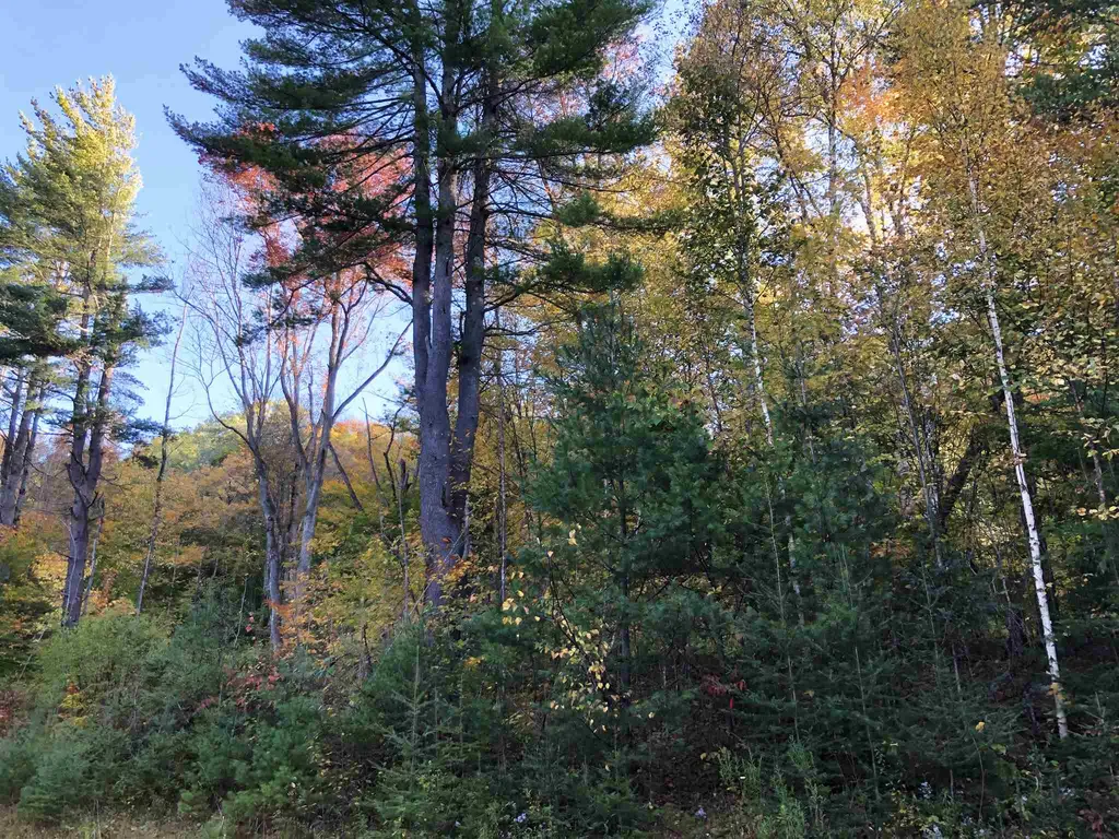 000 Old Man Mountain Road St. Johnsbury VT 05819