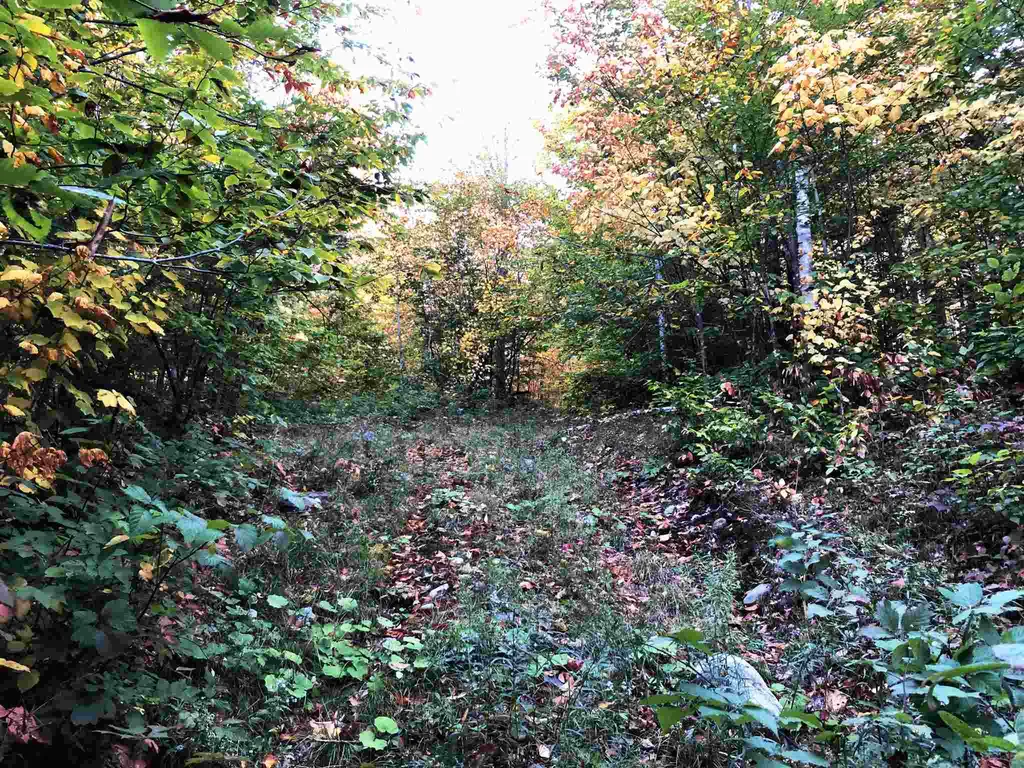 000 Old Man Mountain Road St. Johnsbury VT 05819
