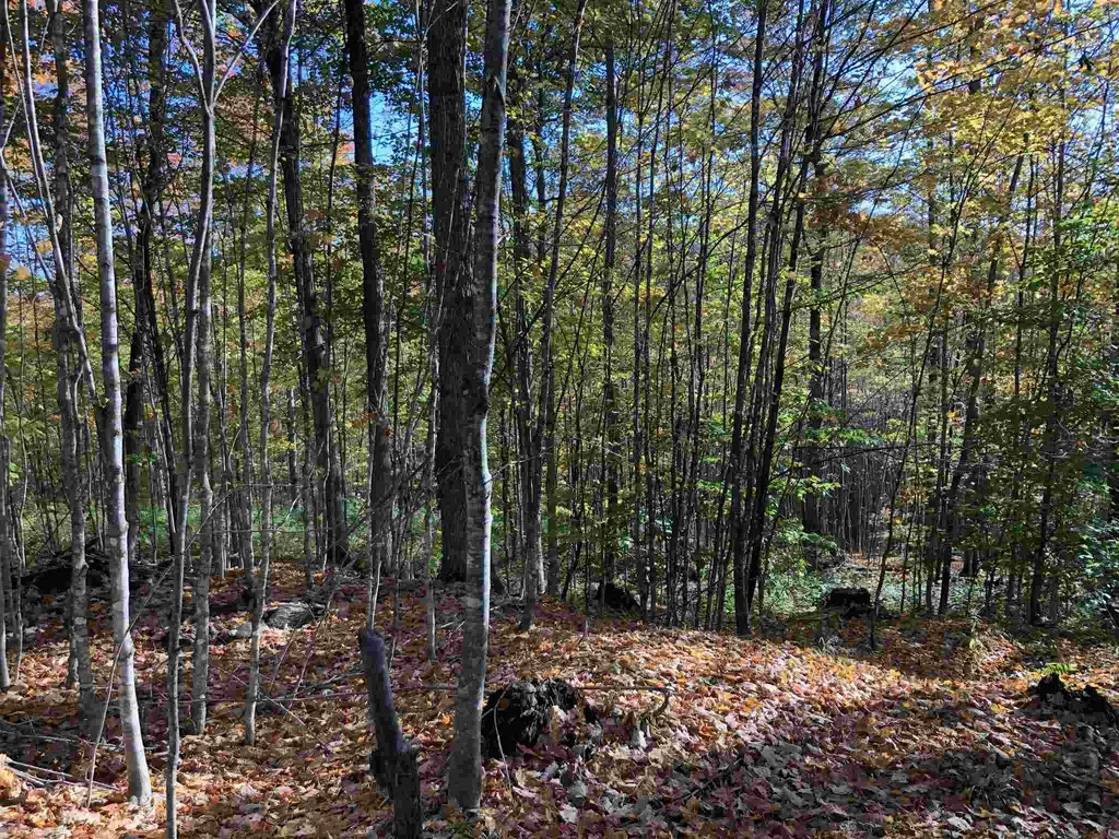 000 Old Man Mountain Road St. Johnsbury VT 05819