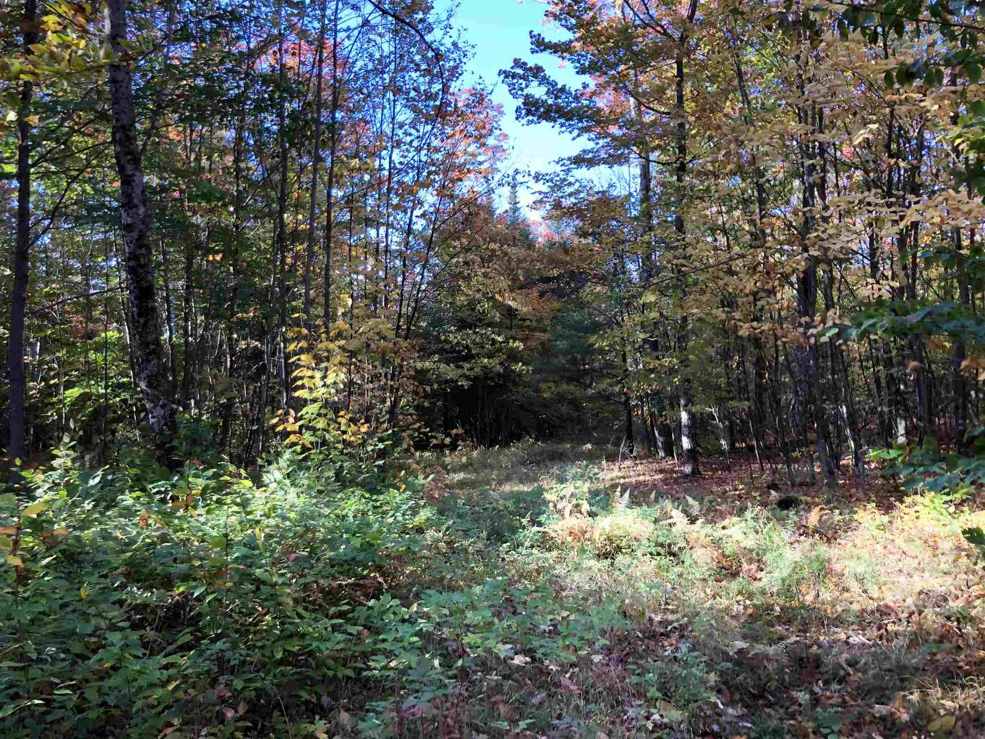 000 Old Man Mountain Road St. Johnsbury VT 05819