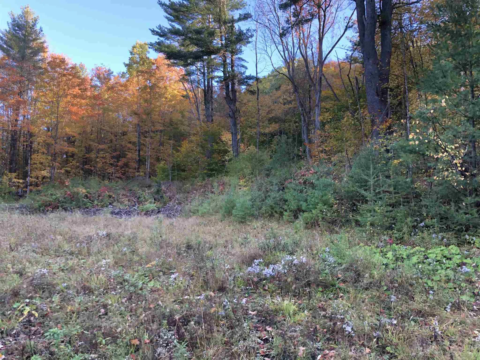 000 Old Man Mountain Road St. Johnsbury VT 05819