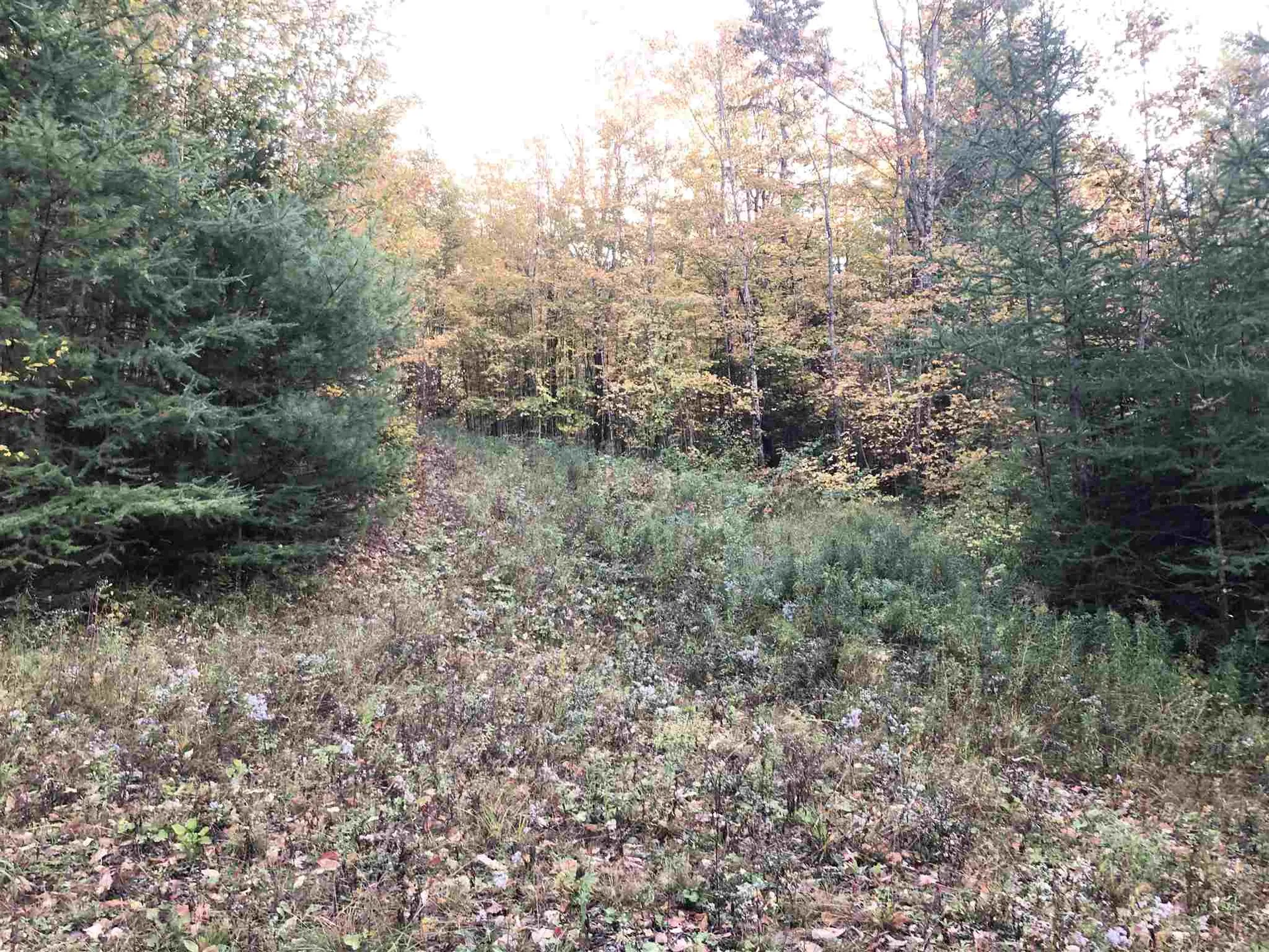 000 Old Man Mountain Road St. Johnsbury VT 05819