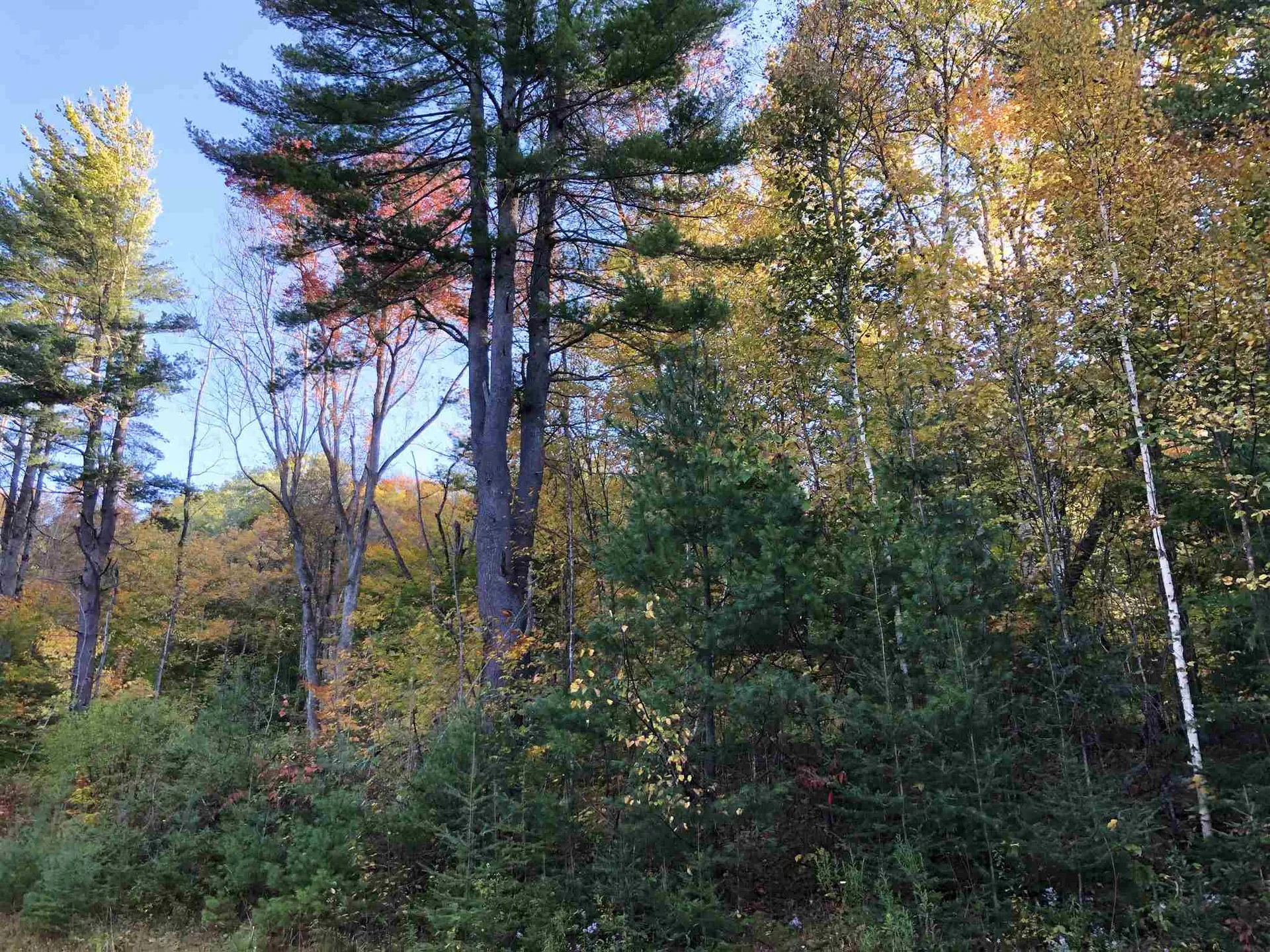 000 Old Man Mountain Road St. Johnsbury VT 05819