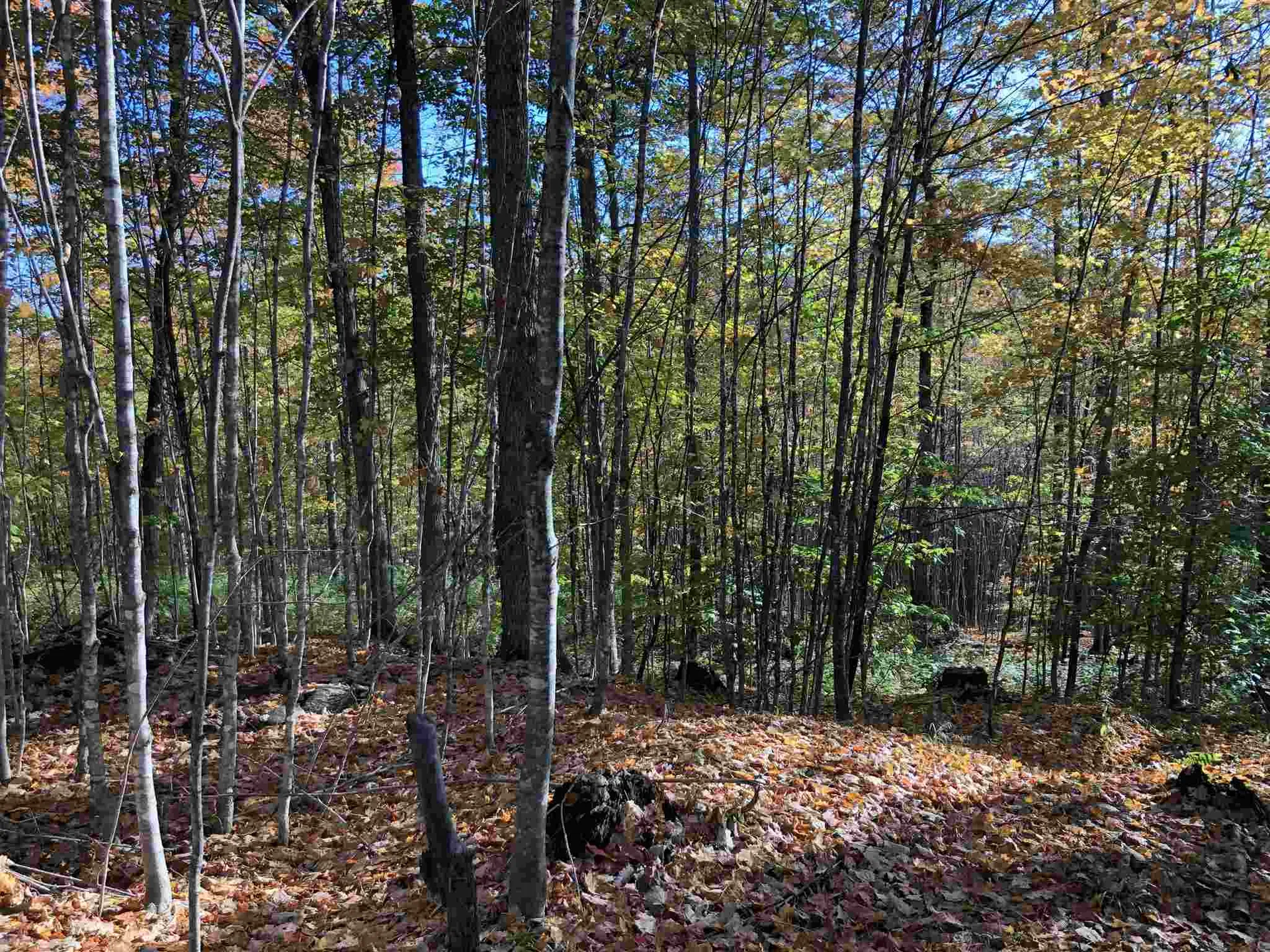 000 Old Man Mountain Road St. Johnsbury VT 05819
