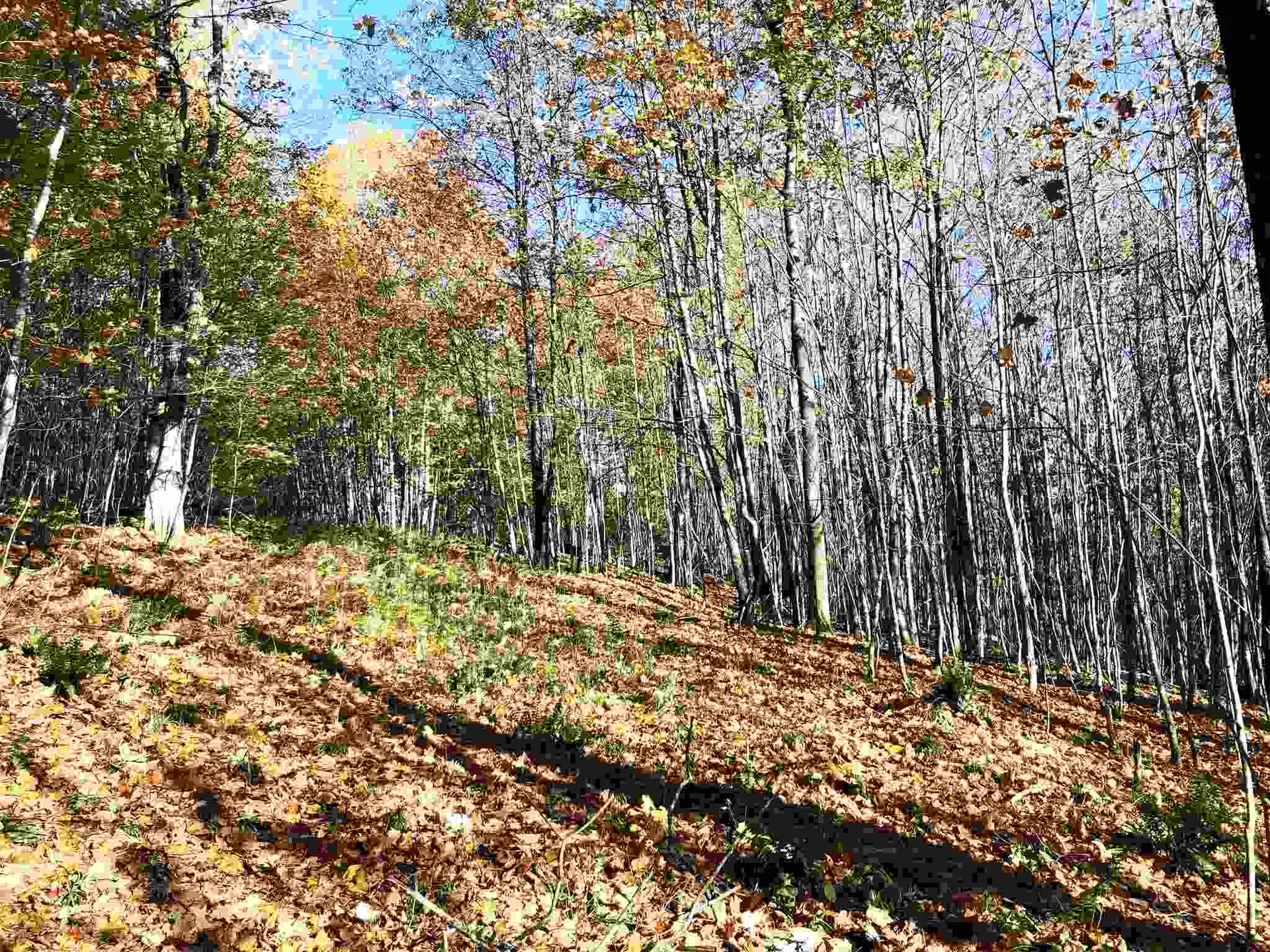 000 Old Man Mountain Road St. Johnsbury VT 05819