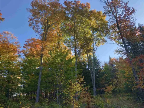 000 Old Man Mountain Road St. Johnsbury VT 05819