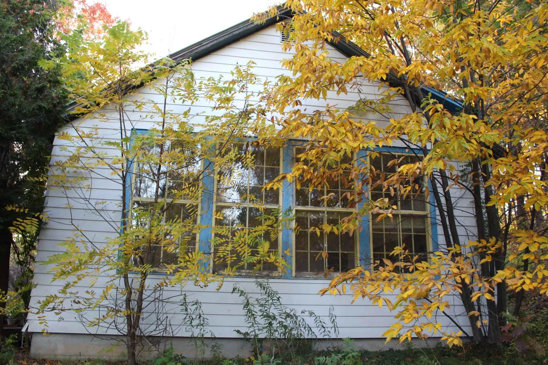 1403 Irish Hill Road Shelburne VT 05482