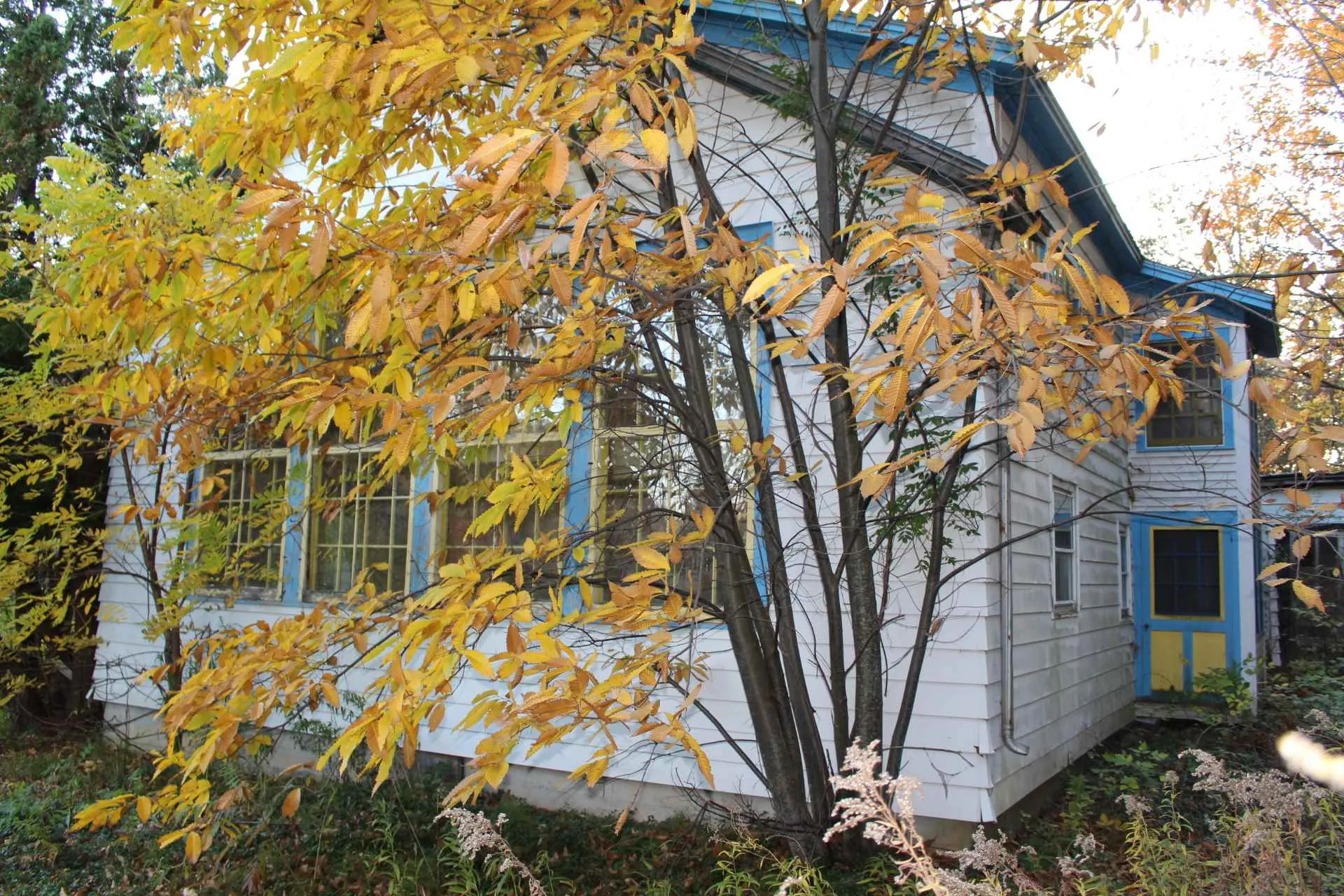 1403 Irish Hill Road Shelburne VT 05482