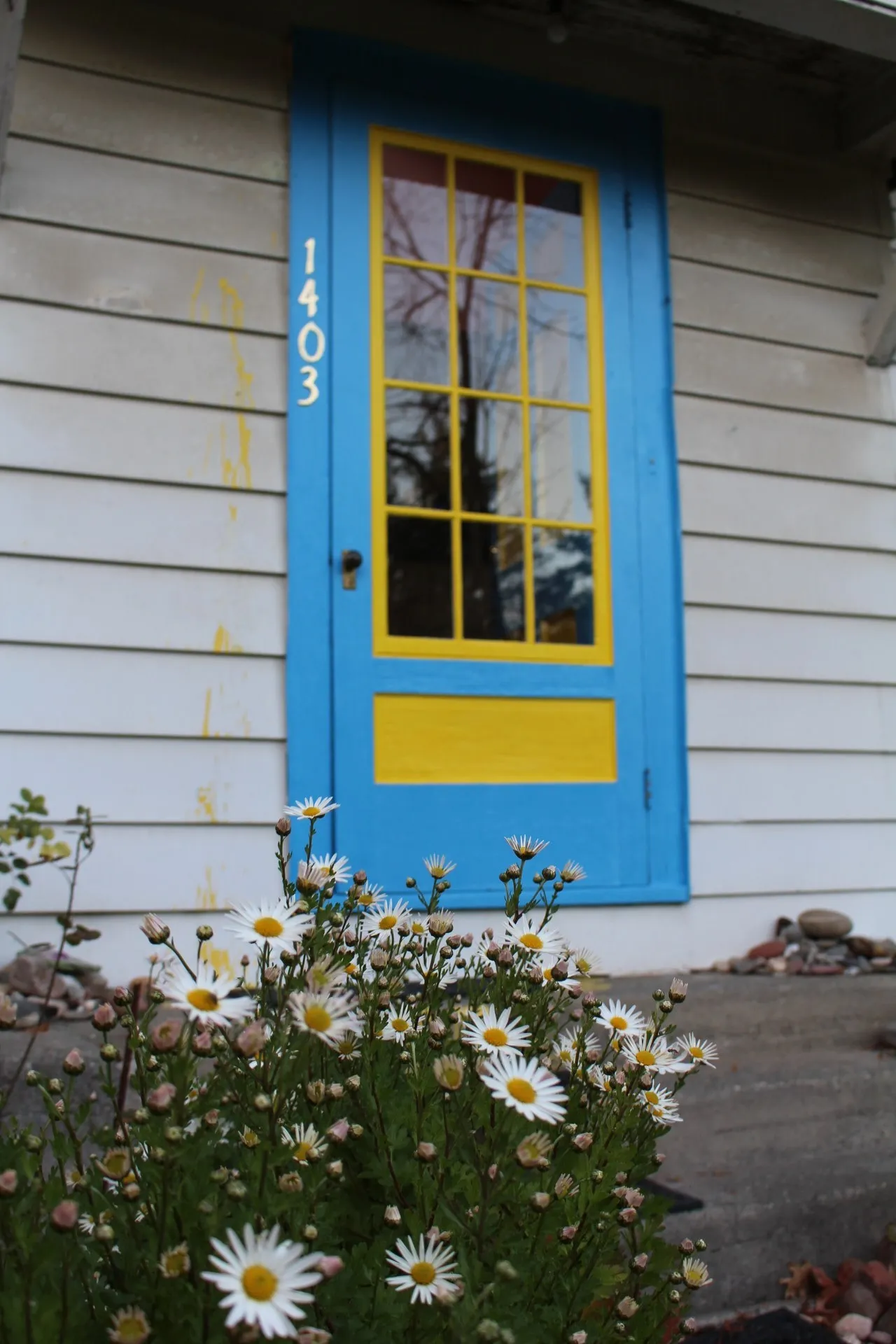 1403 Irish Hill Road Shelburne VT 05482