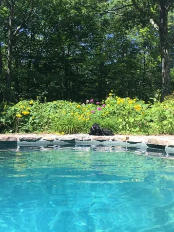 1053 Jaffrey Road Marlborough NH 03455