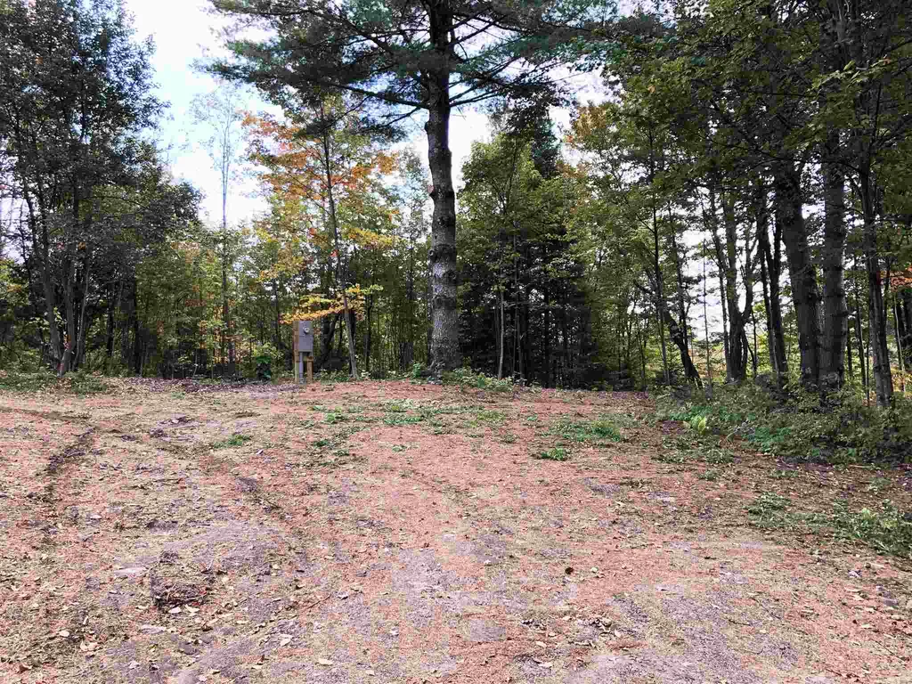 2384 South Walden Road Cabot VT 05647