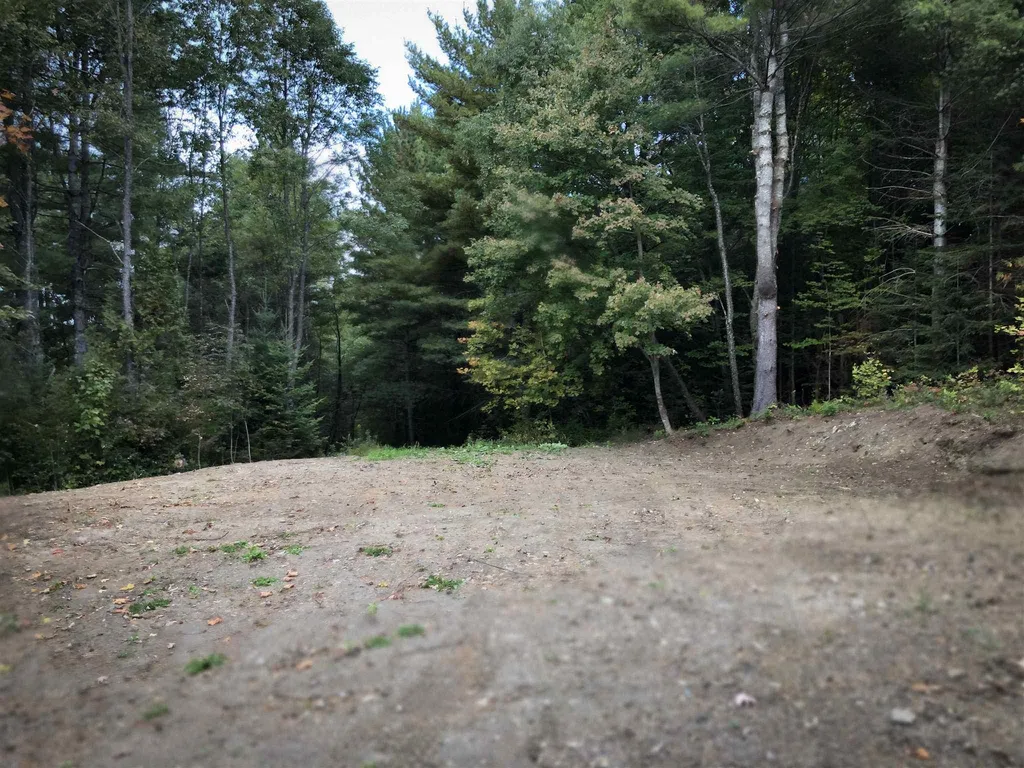 2384 South Walden Road Cabot VT 05647