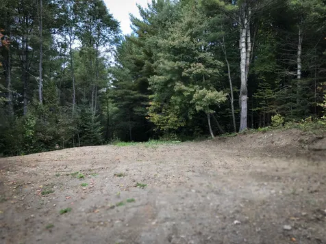 2384 South Walden Road Cabot VT 05647
