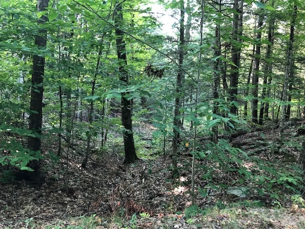 46 Ridge Road Enfield NH 03748