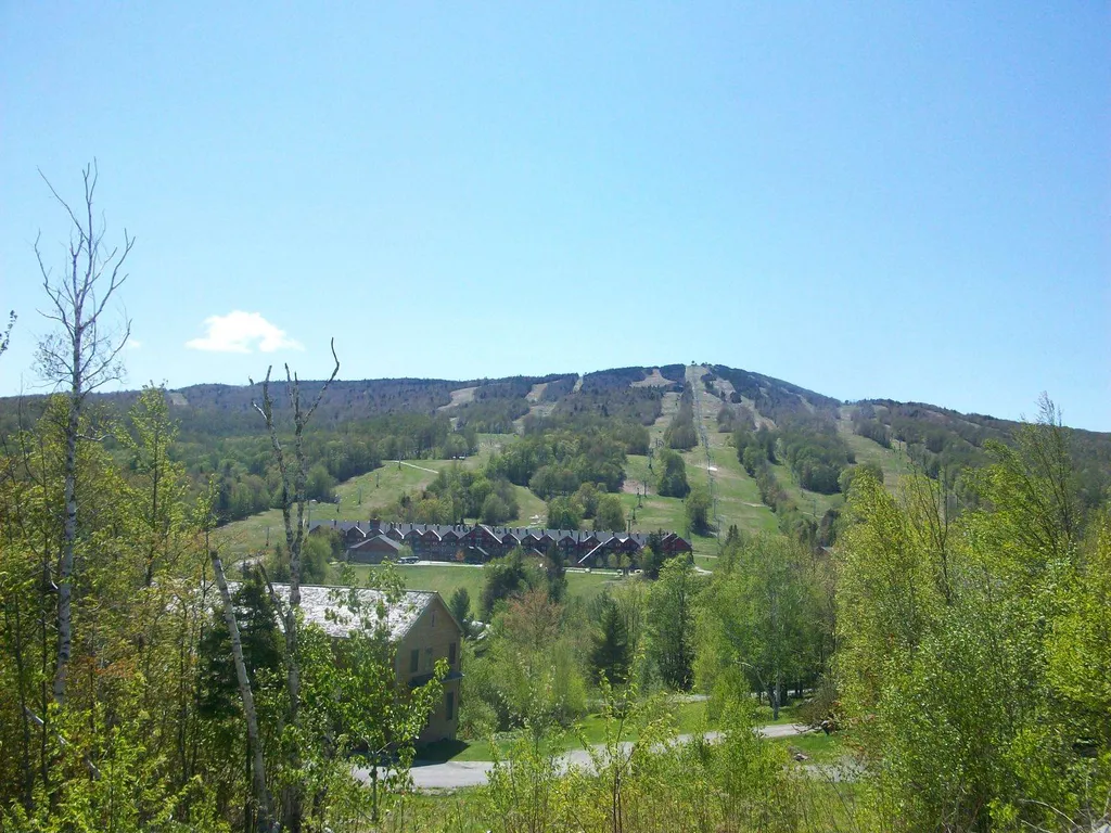 74 Antler Loop Dover VT 05356