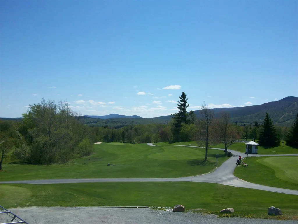 74 Antler Loop Dover VT 05356