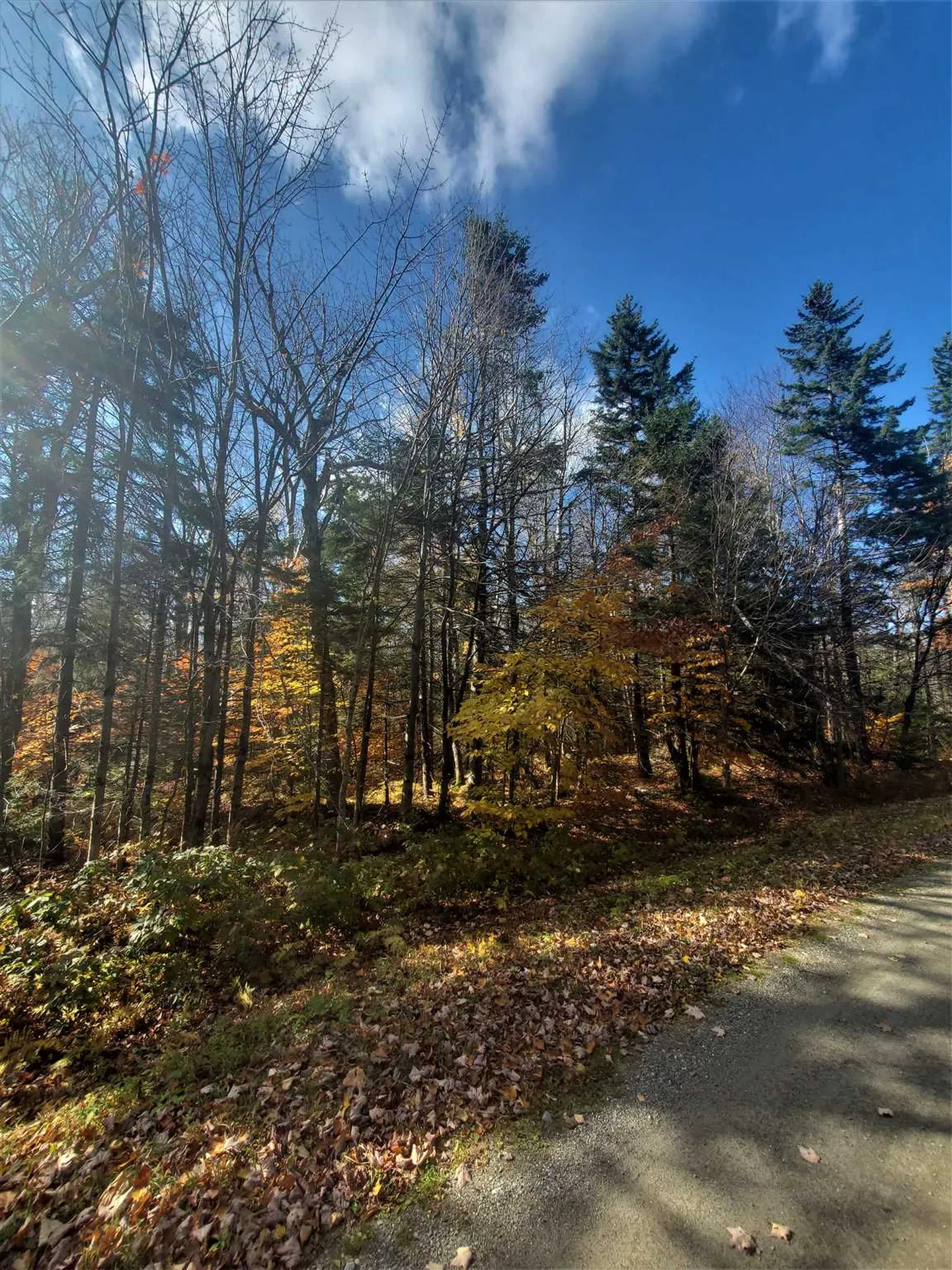 74 Antler Loop Dover VT 05356