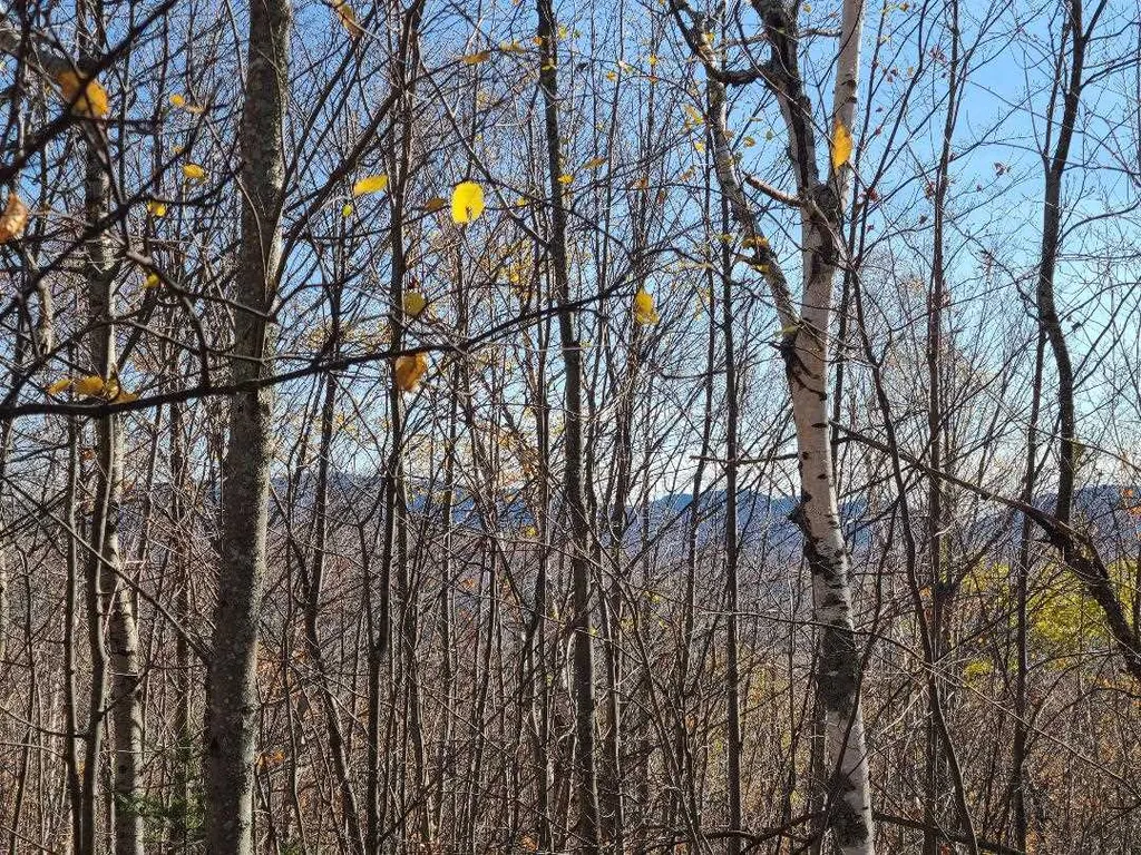 00 Cates Hill Road Berlin NH 03570