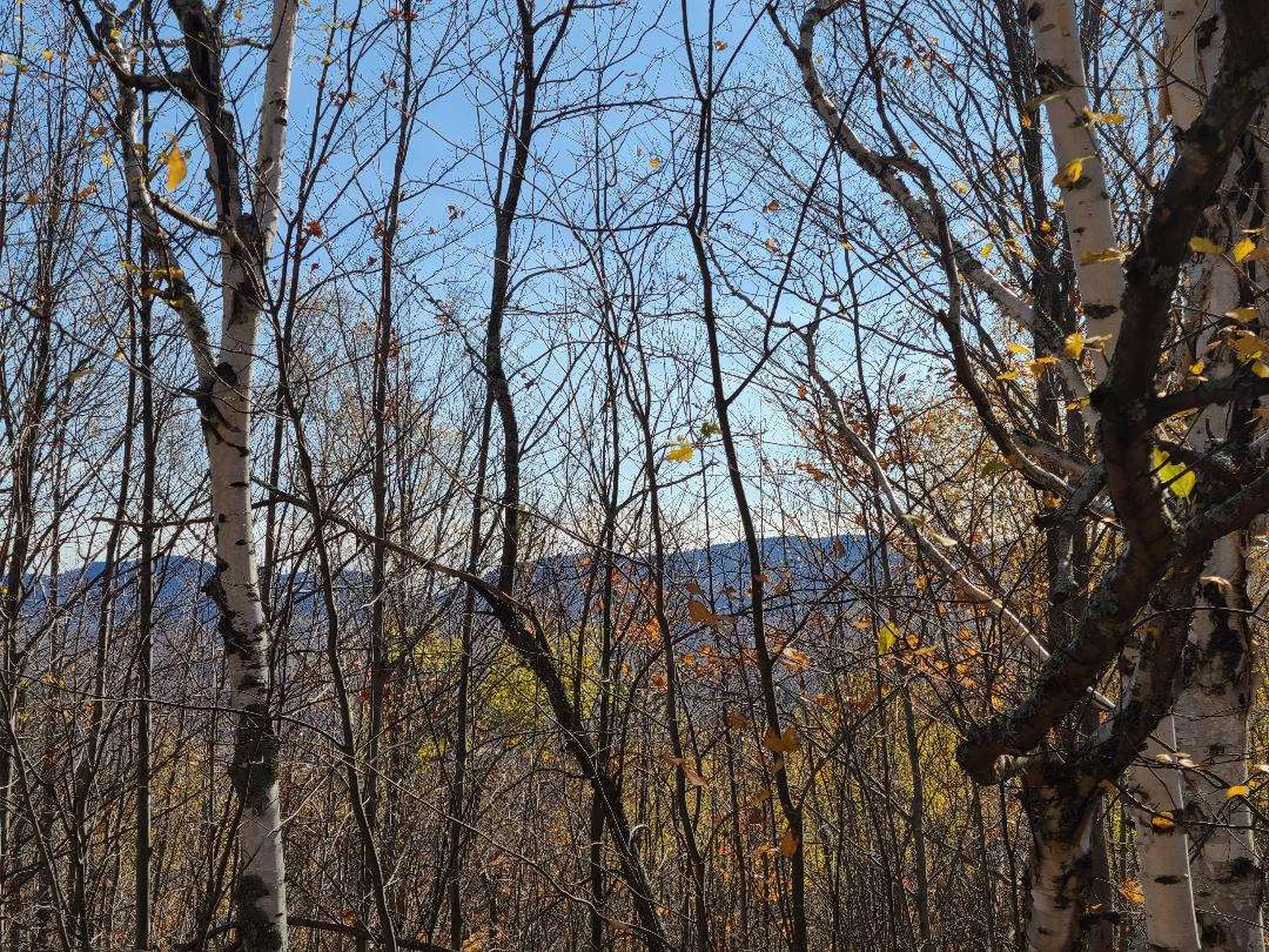 00 Cates Hill Road Berlin NH 03570