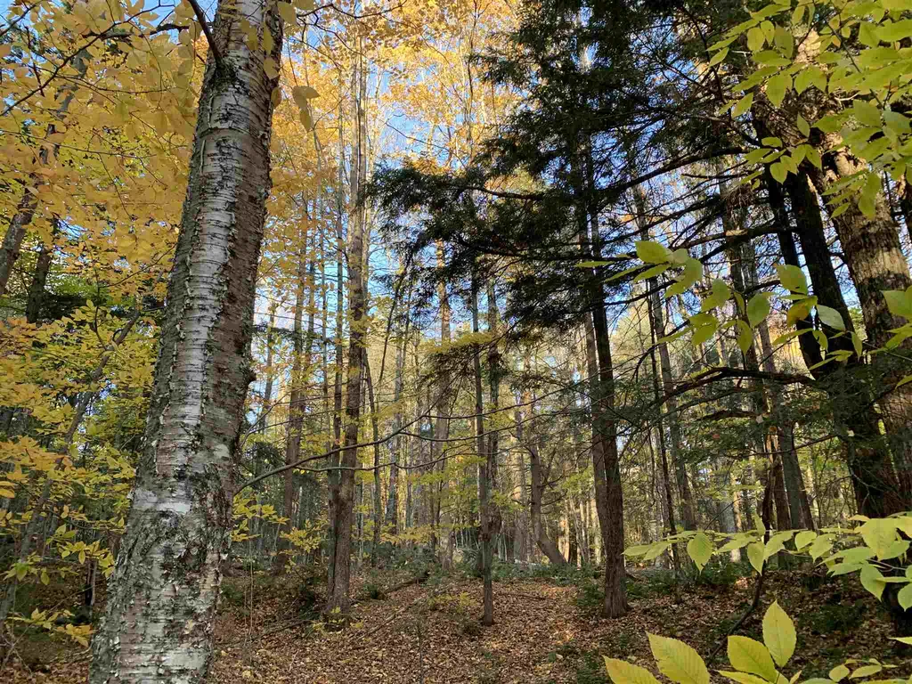 Tbd Sand Hill Road Wolcott VT 05680