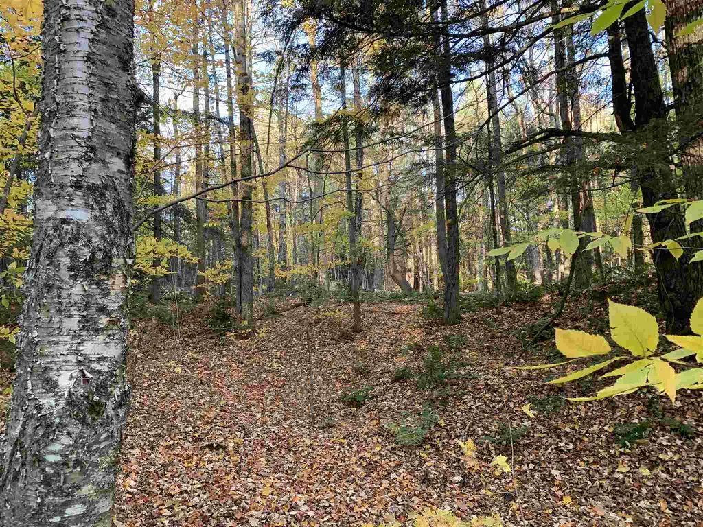 Tbd Sand Hill Road Wolcott VT 05680