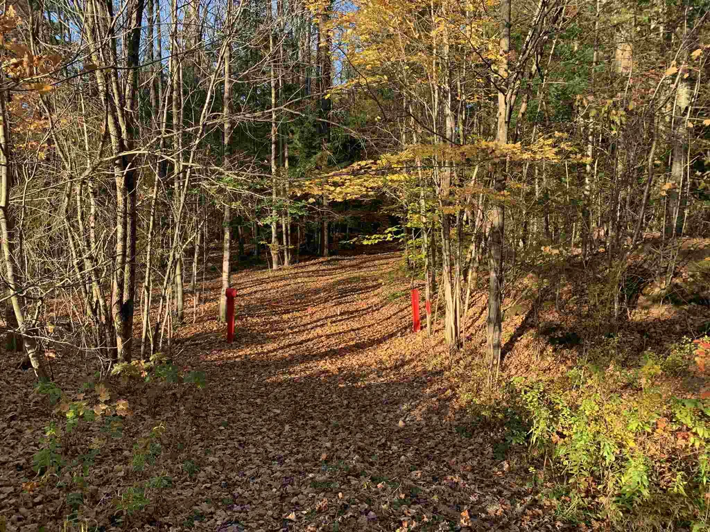 Tbd Sand Hill Road Wolcott VT 05680