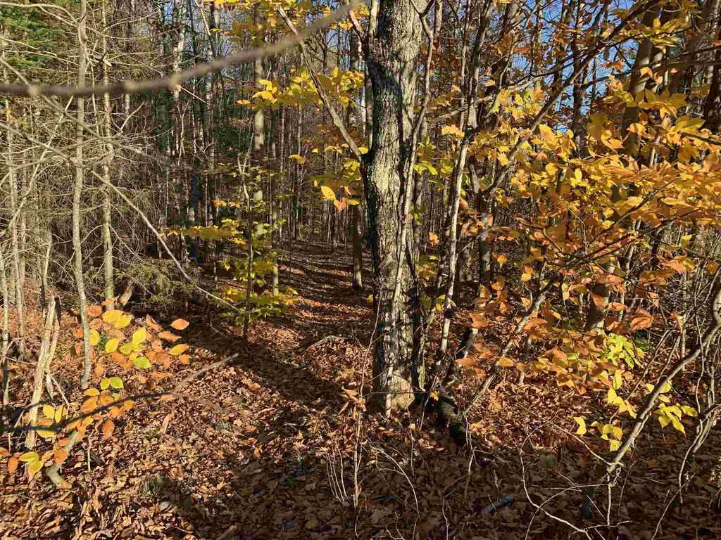 Tbd Sand Hill Road Wolcott VT 05680
