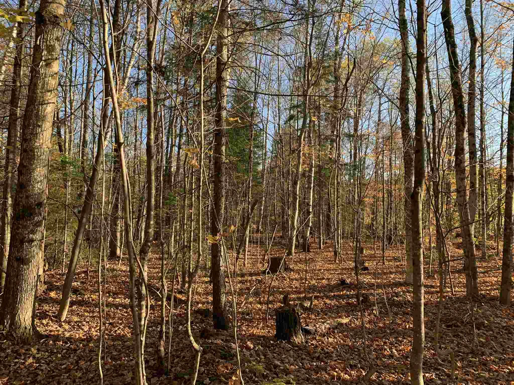 Tbd Sand Hill Road Wolcott VT 05680