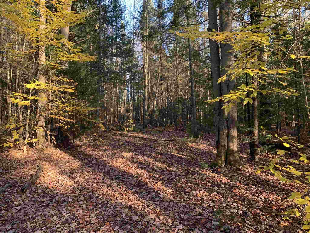Tbd Sand Hill Road Wolcott VT 05680