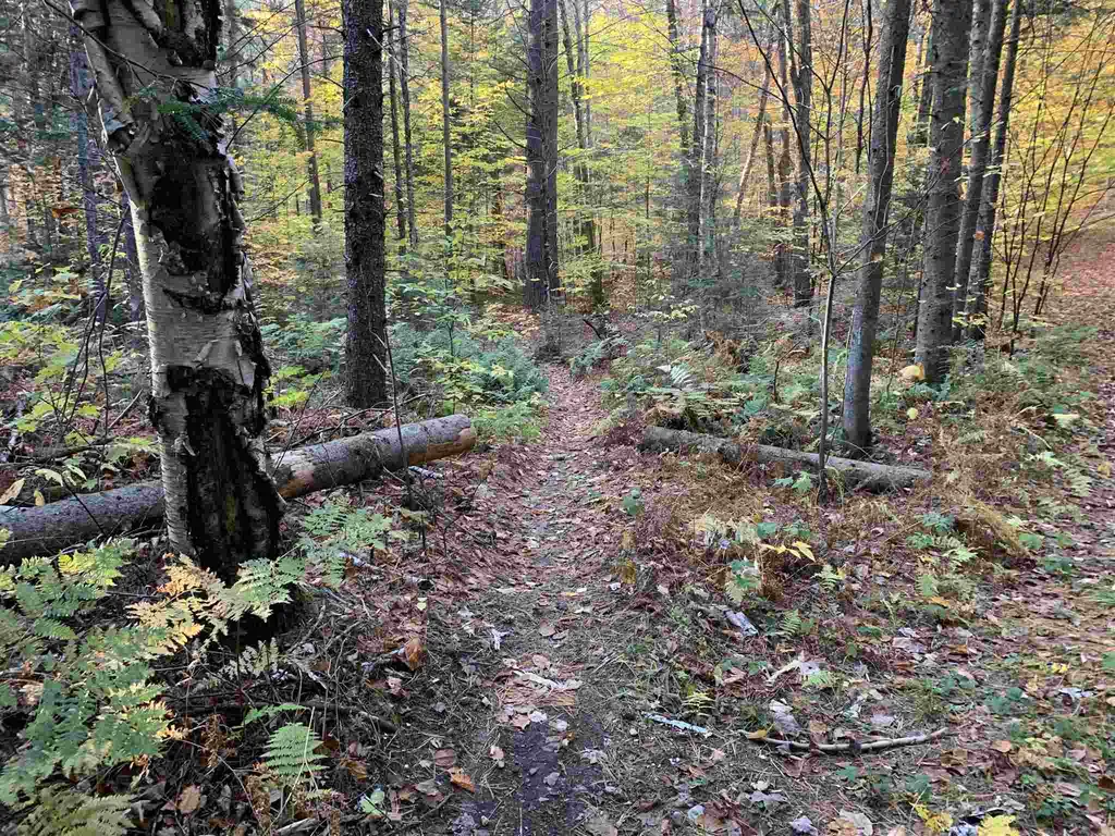 Tbd Sand Hill Road Wolcott VT 05680