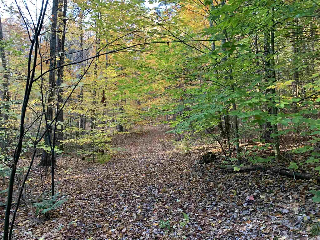 Tbd Sand Hill Road Wolcott VT 05680