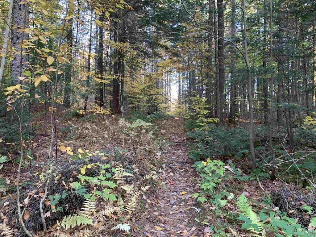 Tbd Sand Hill Road Wolcott VT 05680