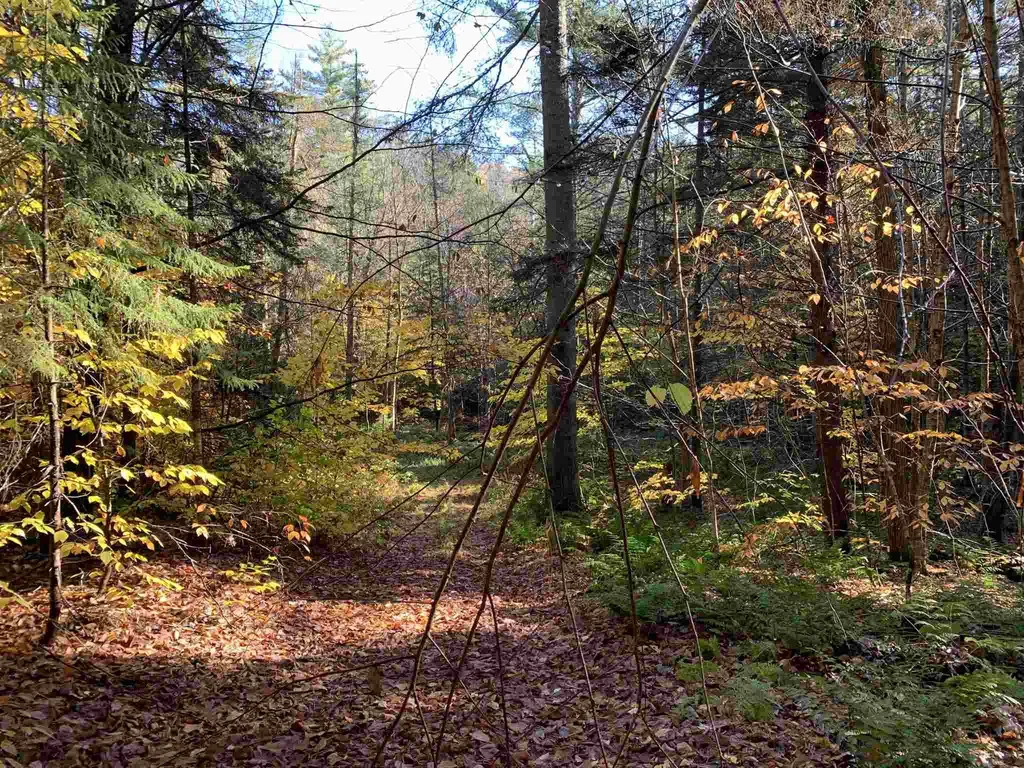 Tbd Sand Hill Road Wolcott VT 05680