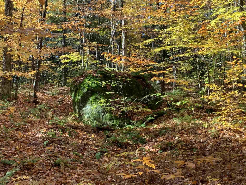 Tbd Sand Hill Road Wolcott VT 05680