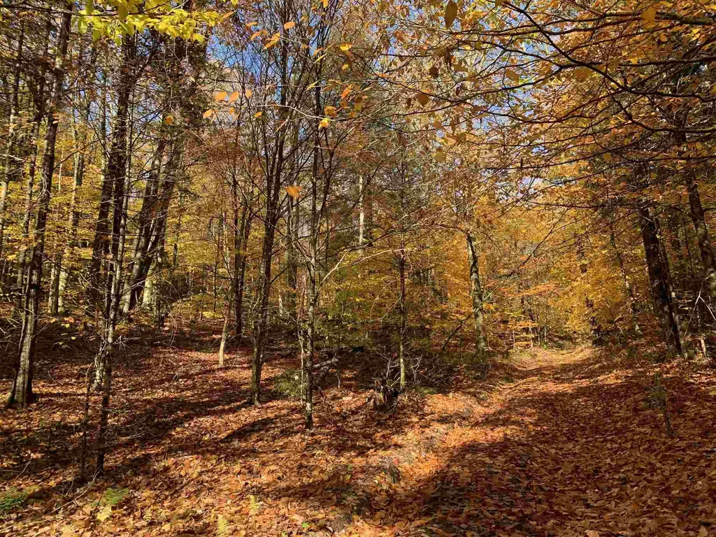 Tbd Sand Hill Road Wolcott VT 05680